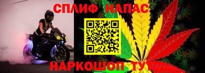 mdma Новозыбков