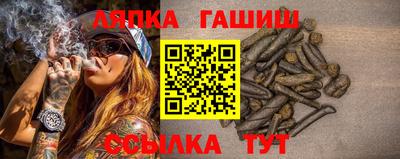 гидра Новокубанск