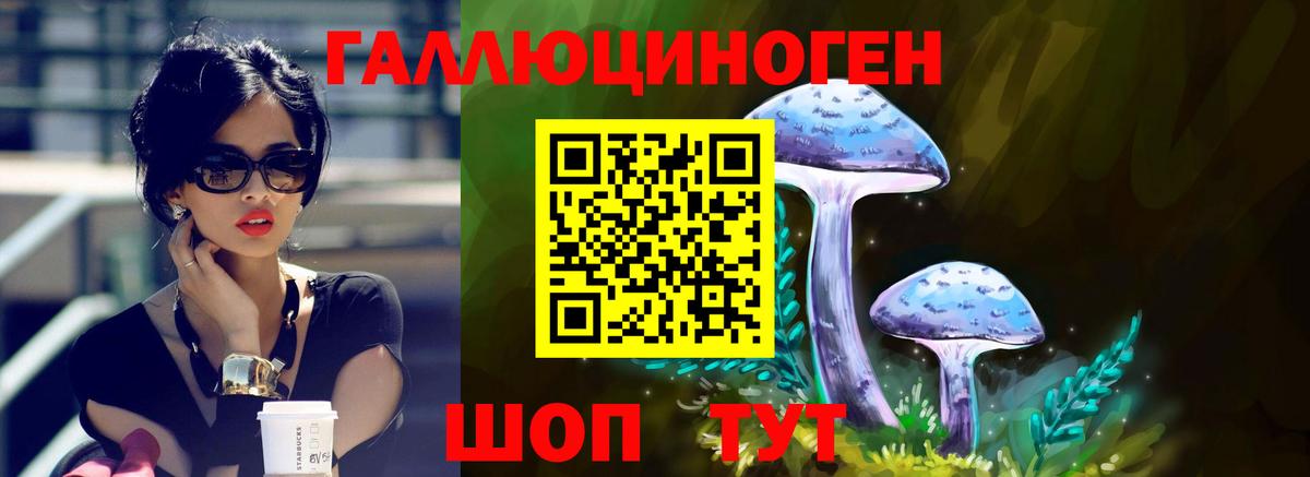Сатка  Псилоцибиновые грибы GOLDEN TEACHER  Вход с VPN 